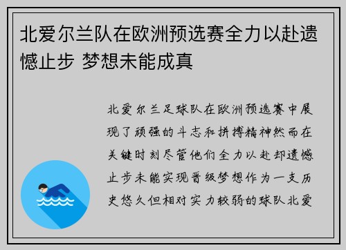 北爱尔兰队在欧洲预选赛全力以赴遗憾止步 梦想未能成真